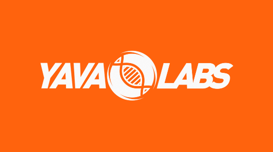 logo yava labs oranje